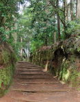 Parque Santo Da Serra