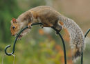 Caught in the act............
