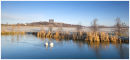 Winter Blues at Penshaw 
