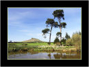 Roseberry Topping from Airey Holme Farm
