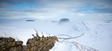Snow and Mist