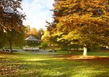 Hexham Autumn Colours 