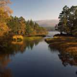 Autumn Colour, Loch Morlich