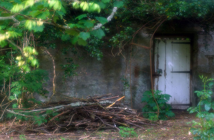 The Secret Garden