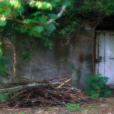 The Secret Garden