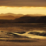 The Golden Hour