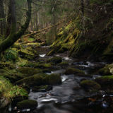 Ravens Rock Gorge