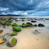 Mossy Rocks