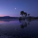 Dawn Light