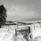 Highland Winter Scene