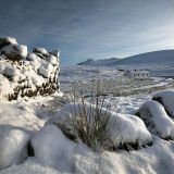 Highland Winter