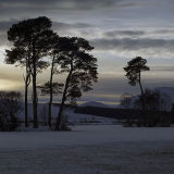 Loch Dubh Island