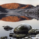 Morie Reflections