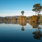 Reflections on the Loch