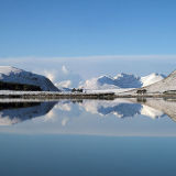 Reflections