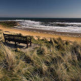 Seat with a View