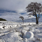 Snow Rollers