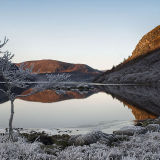 Winter Light