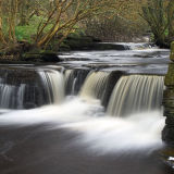 Woodwick Burn