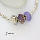 Crocus  SOLD, thanks