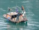 Fishing in Halong Bay