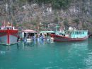 Fishing Boats at Floating Fishing Village, Halong Bay