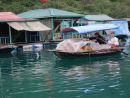 Floating Grocery Shop, Floating Fishing Village, Halong Bay