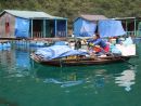 Floating Shop, Floating Fishing Village, Halong Bay