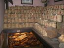 Medicinal Herbs, Bao Tang PHITO (Museum of Vietnamese Traditional Medicine), Ho Chi Minh City