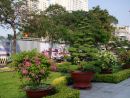 Vietnamese Traditional Bonsai, Ho Chi Minh City