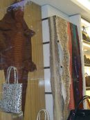 Crocodile Skins, Ho Chi Minh City