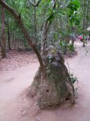 Ventilation Shaft to Tunnels, Cu Chi Tunnels, outside Ho Chi Minh City