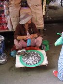 Fish Seller, Hoi An Market