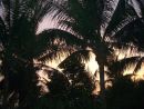 Sunrise over the Palms, The Nam Hai, Hoi An