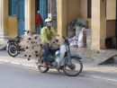 Motorbike with Lampshade Frames, Hoi An