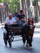 Horse & Carriage, Palermo