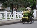 Carrying Fruit Load on Cyclo, Hue