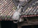 Roof Detail of Landing Building, Tu Duc Tomb, Hue