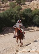 Jordanian Horseman, Petra