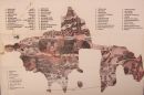 Reproduction of Byzantine Map of the Holy Land, Madaba