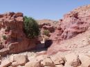 Eroded Sandstone Rock Formation, Petra