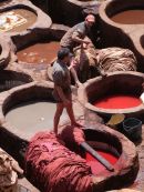 Moroccan Tannery Worker, Fes