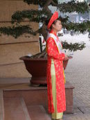 Vietnamese Lady in Traditional Dress