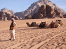 Jordanian & Camels, Wadi Rum