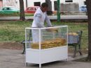Bread Vendor, Havana