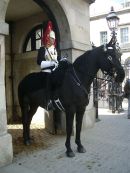 Household Cavalry Guard, Whitehall, London