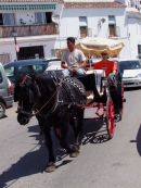 Horse Drawn Carriage, Mijas