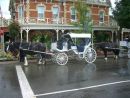Horse & Carriage, Prince of Wales Hotel, Niagara on the Lake