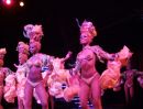 Tropicana Show, Buena Vista, Havana