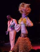 Tropicana Show, Buena Vista, Havana